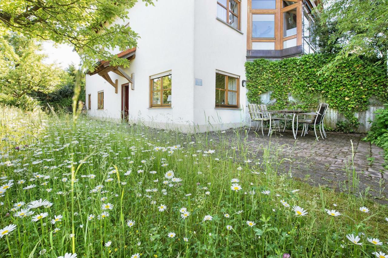 Iris-Ferien Mit Hund Apartment Walsdorf  Екстериор снимка